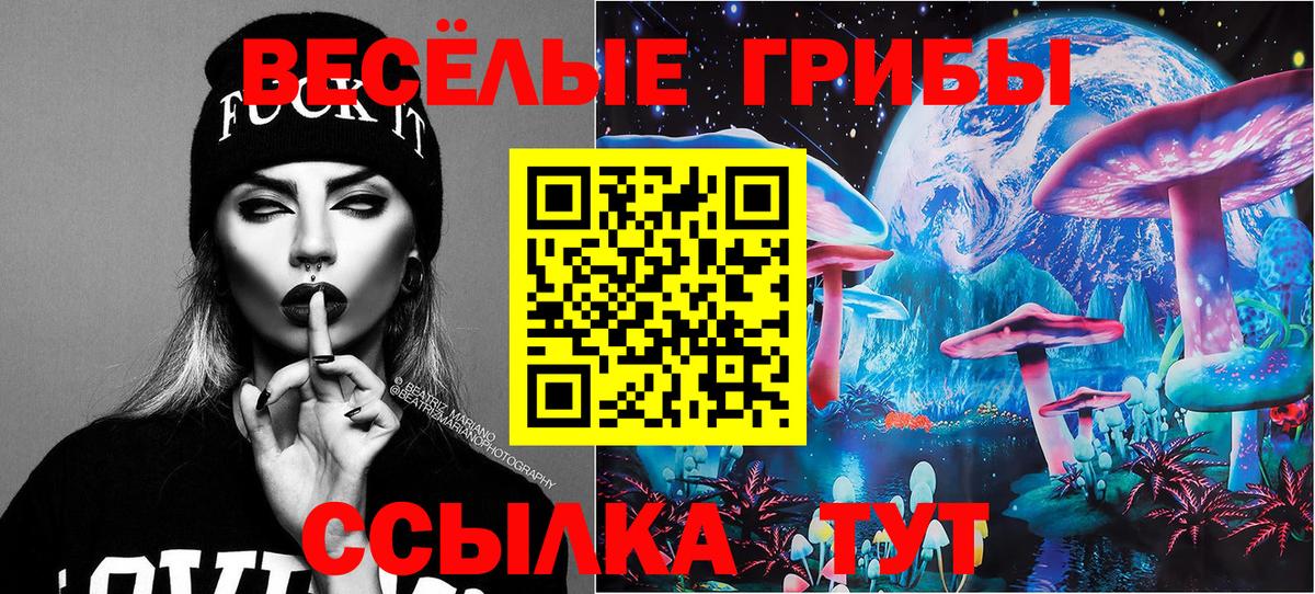 Галлюциногенные грибы Cubensis Нижний Новгород