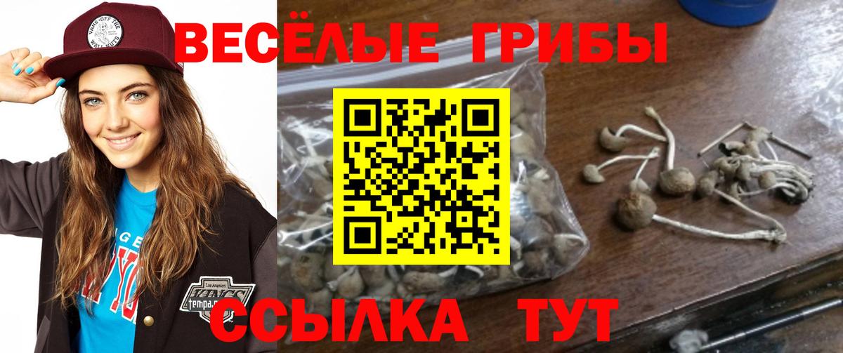 Псилоцибиновые грибы Cubensis  Псилоцибиновые грибы прущие грибы  Вход с VPN  Нижний Новгород 